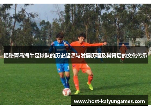 揭秘青岛海牛足球队的历史起源与发展历程及其背后的文化传承 揭秘青岛海牛足球队的历史起源与发展历程及其背后的文化传承
