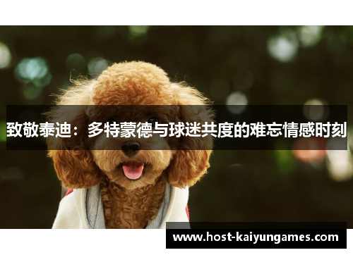 致敬泰迪:多特蒙德与球迷共度的难忘情感时刻 致敬泰迪:多特蒙德与球迷共度的难忘情感时刻